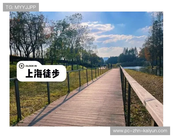 专家提醒:学校组织长距离徒步与骑行需详细评估路线与天气 专家提醒:学校组织长距离徒步与骑行需详细评估路线与天气