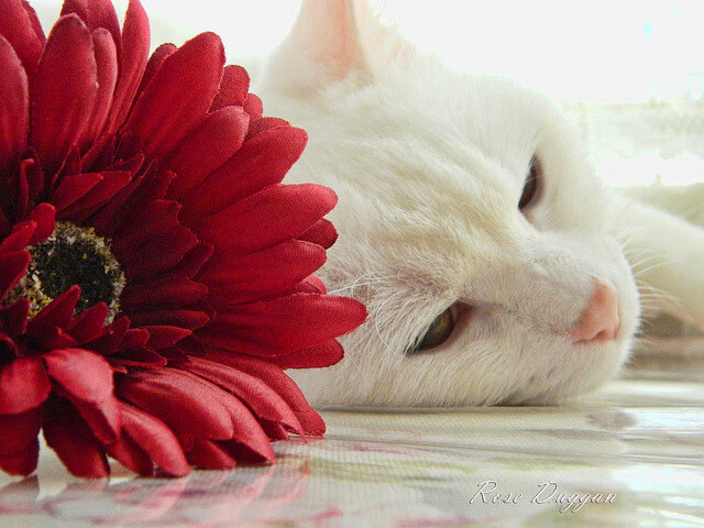 中超控球率与控场时间匹配度研究,中场控球视频