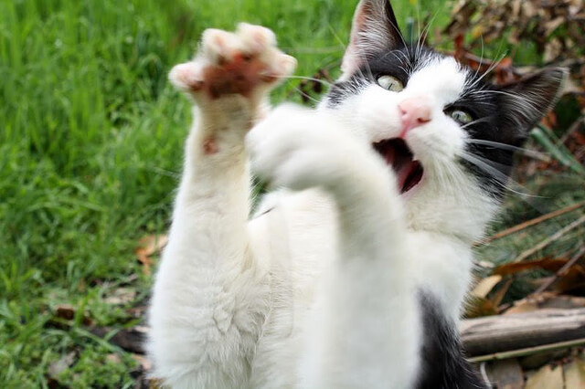 全国青少年沙滩排球比赛炽热开启，全国青年沙滩排球锦标赛