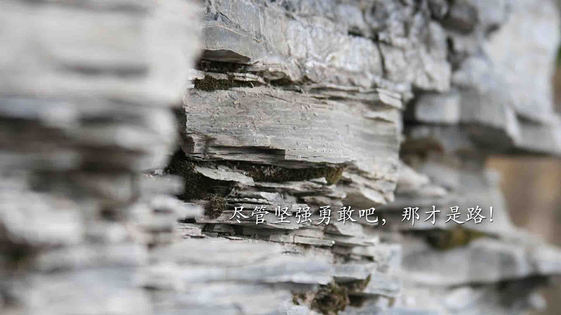 篮球运动员专项技能训练课程体系的优化与实施方案，篮球技能培训方案