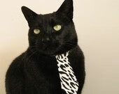 加拿大游泳技术未来发展趋势，加拿大的游泳馆