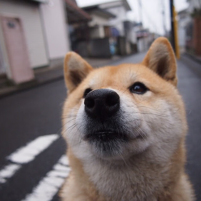开云ky官网-后卫线竞争激烈谁能成为国家队新大脑，后卫什么