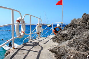 开云体育官网上-海湾者未来青训体系逐渐完善，海湾技术