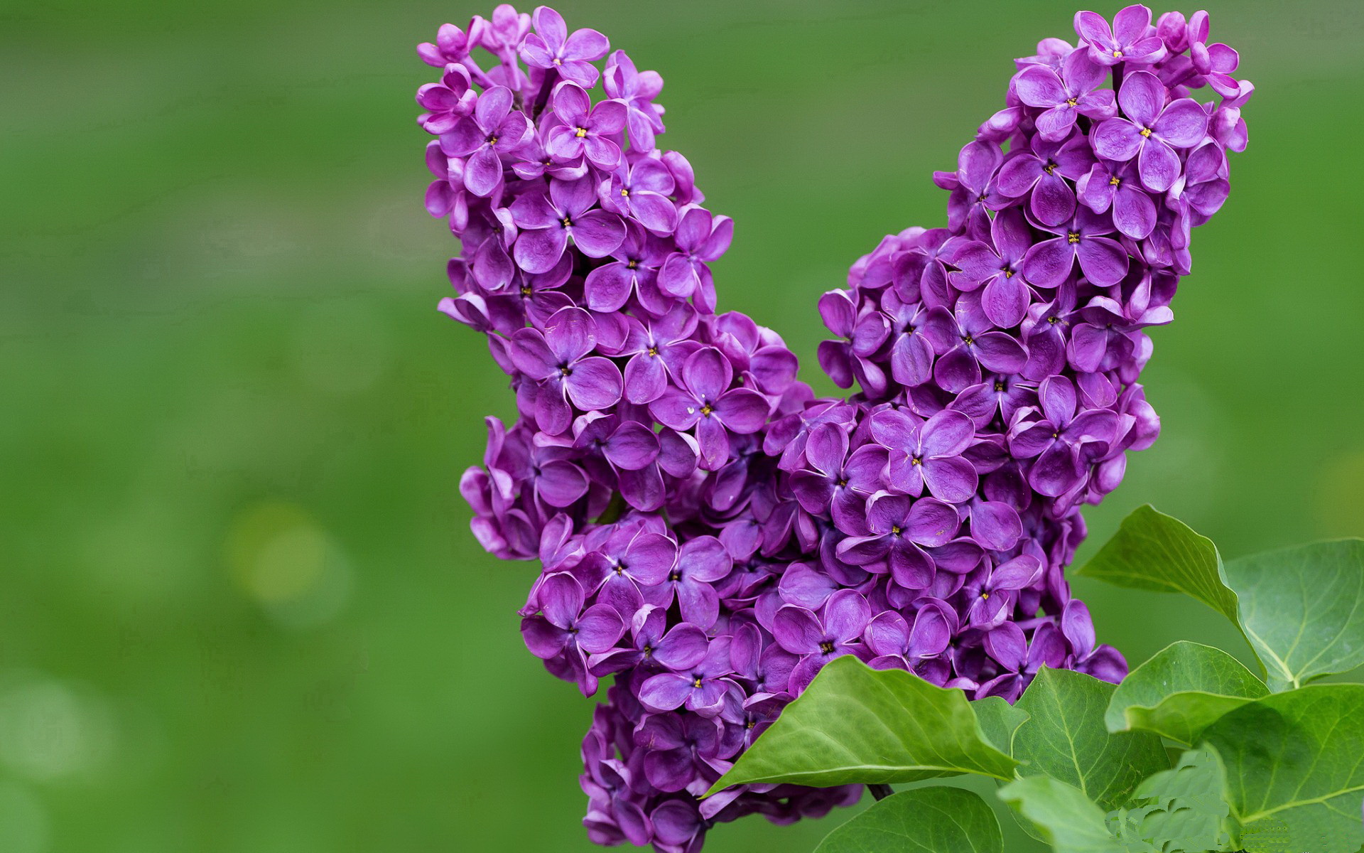 丁俊晖晒出童年照片感慨台球之路，丁俊晖的台球视频