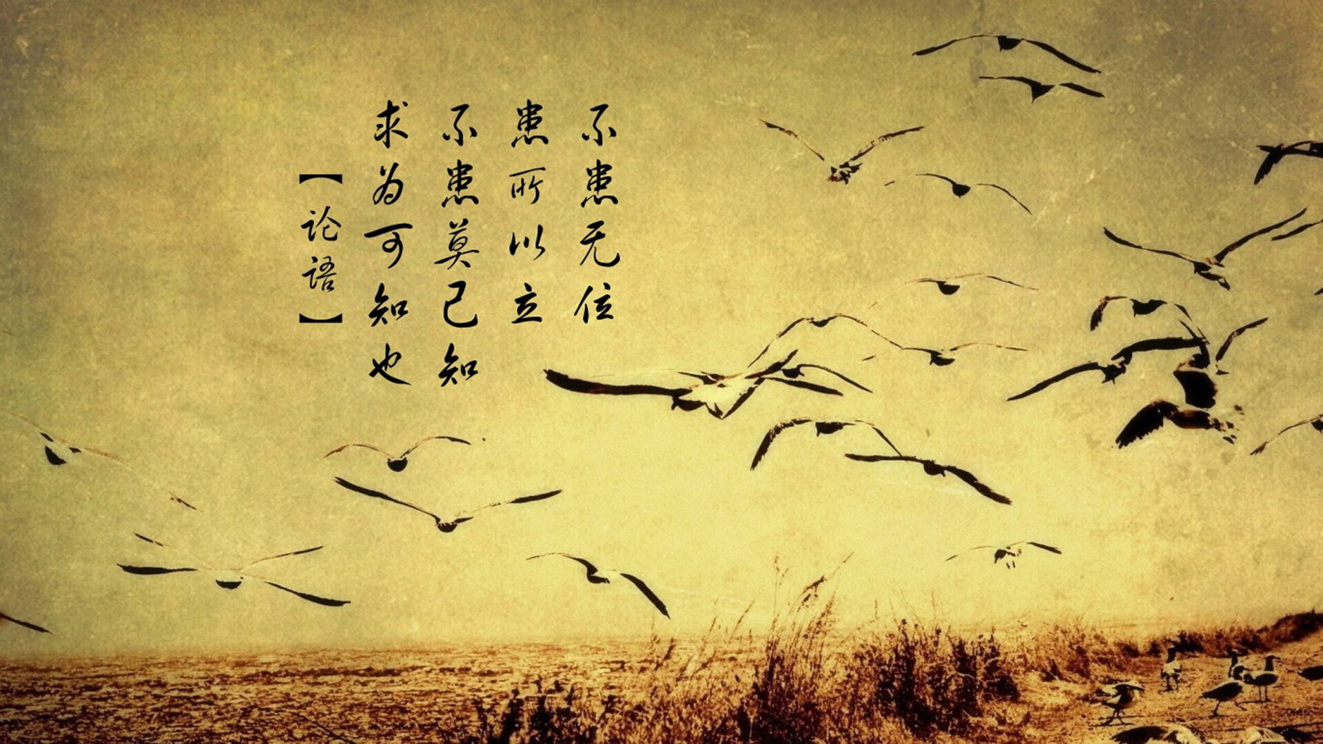 利物浦稳扎稳打，欧冠赛场展现强大实力