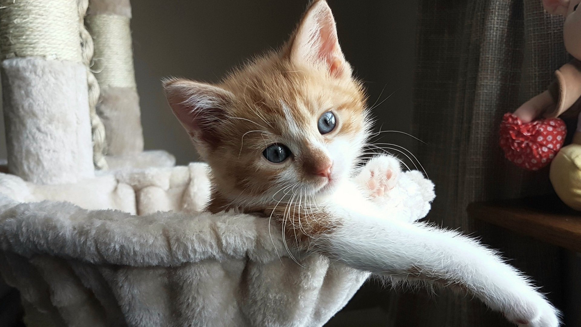 巴尔：在关键时刻，他总能做出精确的判断，为全黑队带来胜利的机会