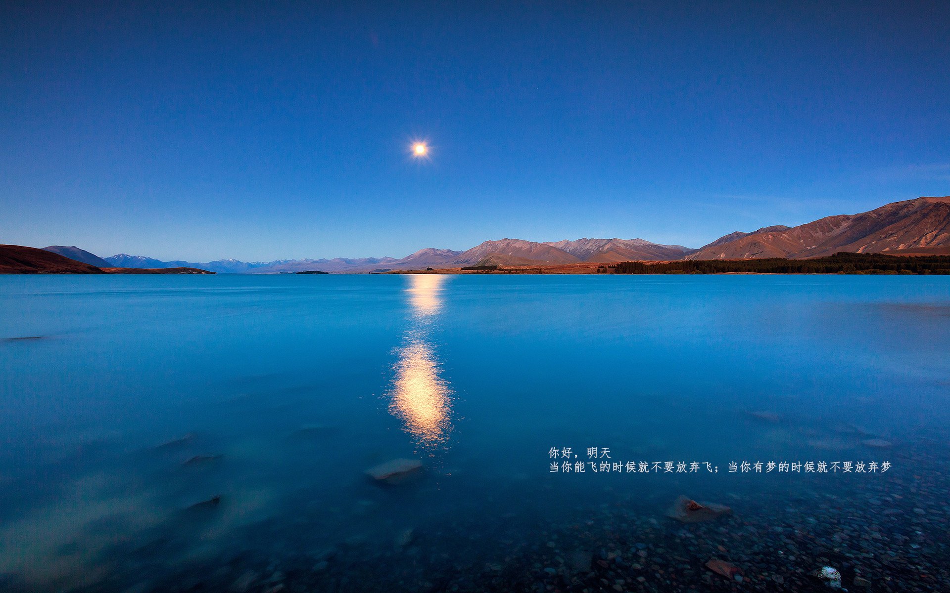 未来足球场馆实现全环节智能化管理，提升行业科技水平，足球场管理与服务方案