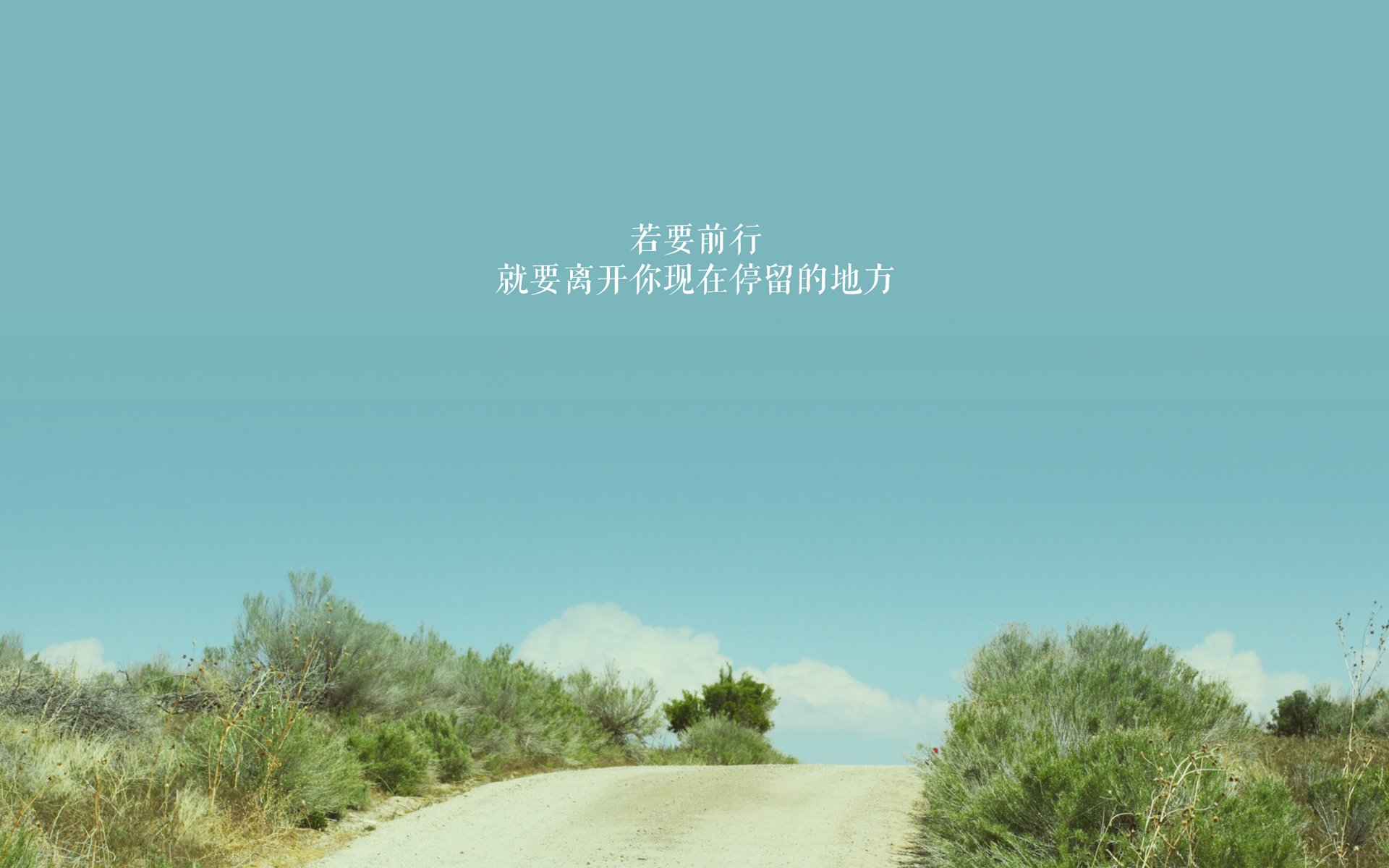 开云体育app在线-男子蝶泳技术动作不断精细化，男子蝶泳100米