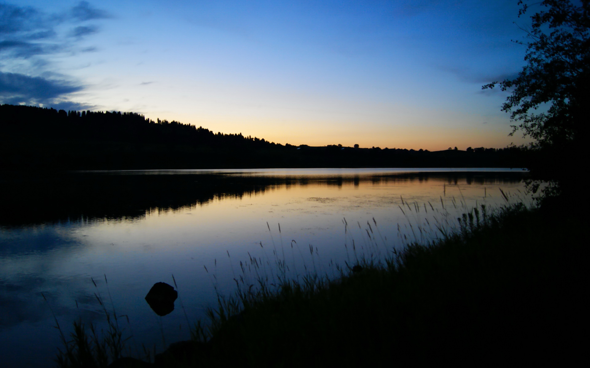 自由泳中距离摩纳哥节奏掌控良好，自由泳漫游