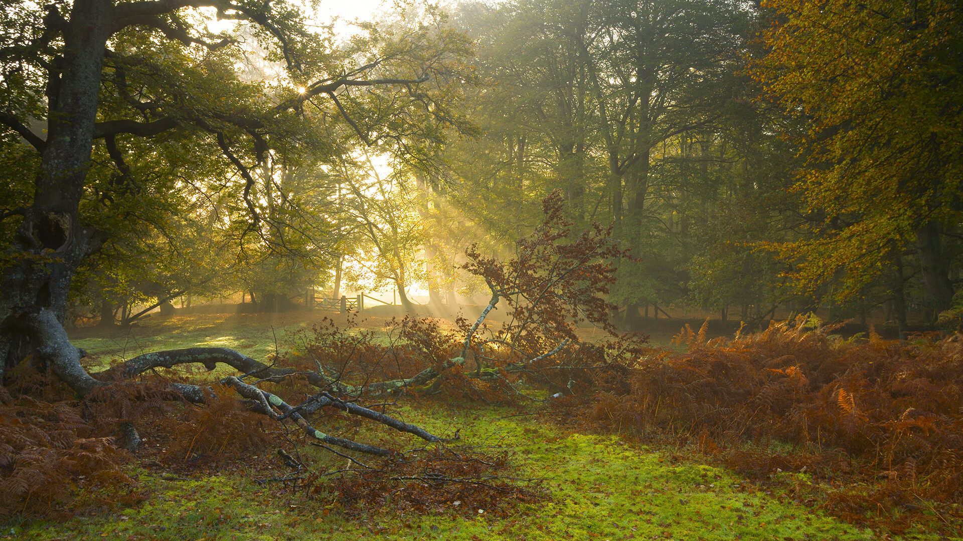 仅24小时！俄军精准打击新兵营，俄军最新单兵装备