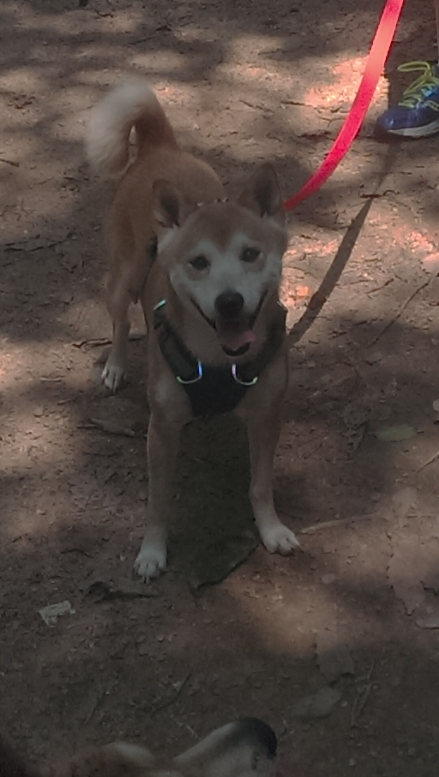 开云体育官网登入-体育新闻中心推动体育新闻国际标准制定工作，体育新闻专题报道